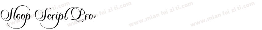 Sloop Script Pro字体转换
